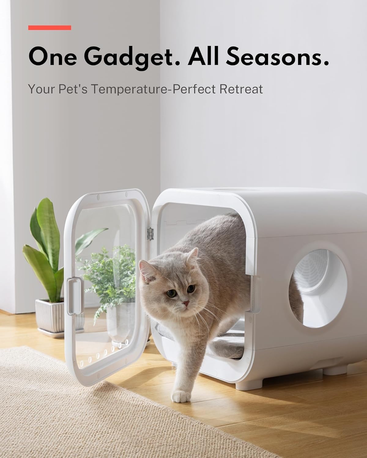 Pet Hair Dryer