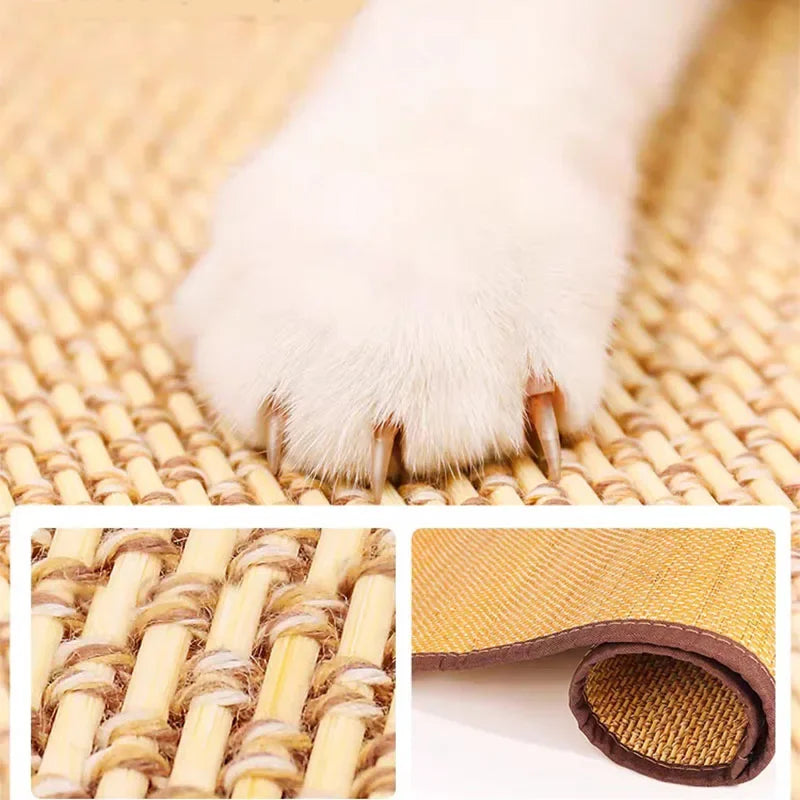 Anti Cat Scratch Sofa Protection
