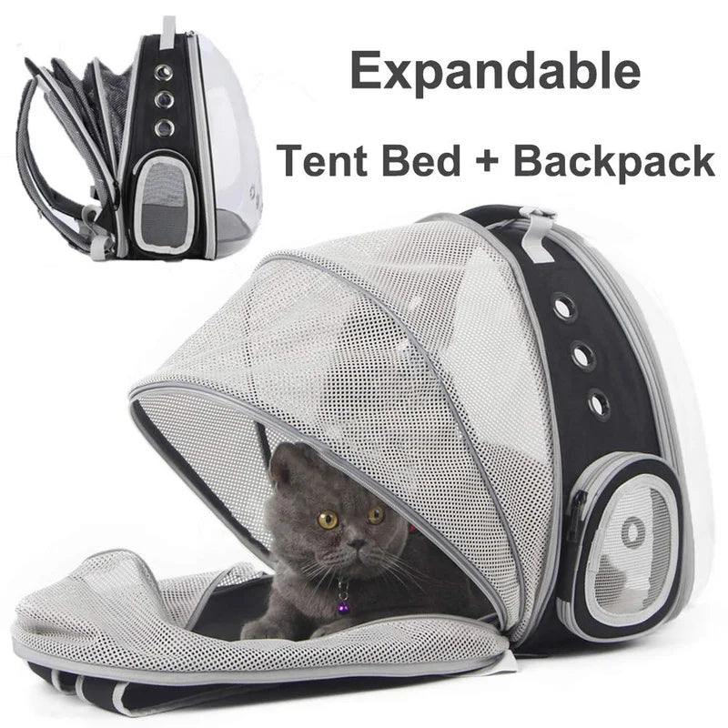 Cat bag Backpack