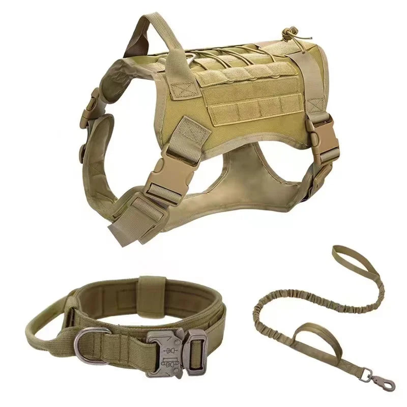 Military Dog Collar