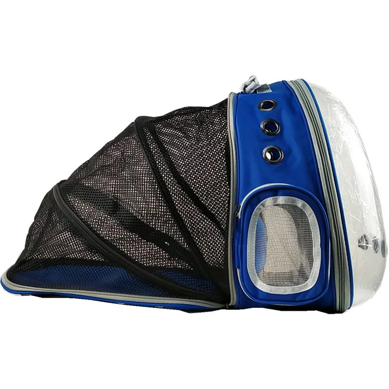 Cat bag Backpack