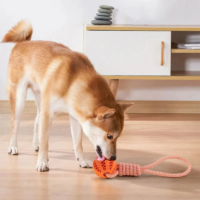 Dog Ball Toy