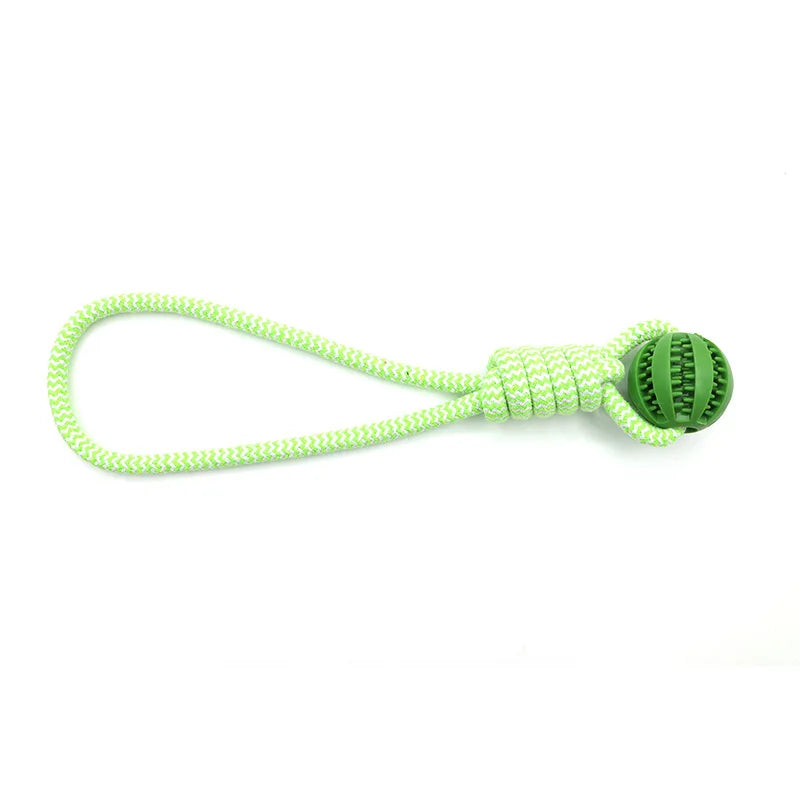 Dog Ball Toy