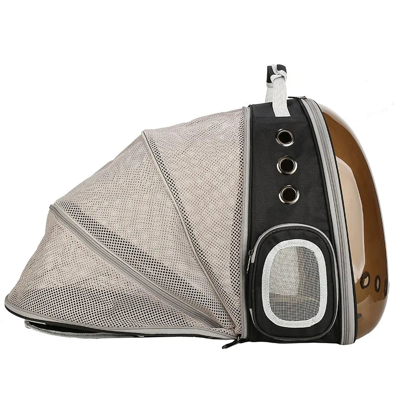 Cat bag Backpack