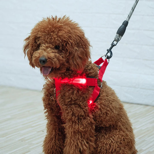 Flashing Light Belt Dog