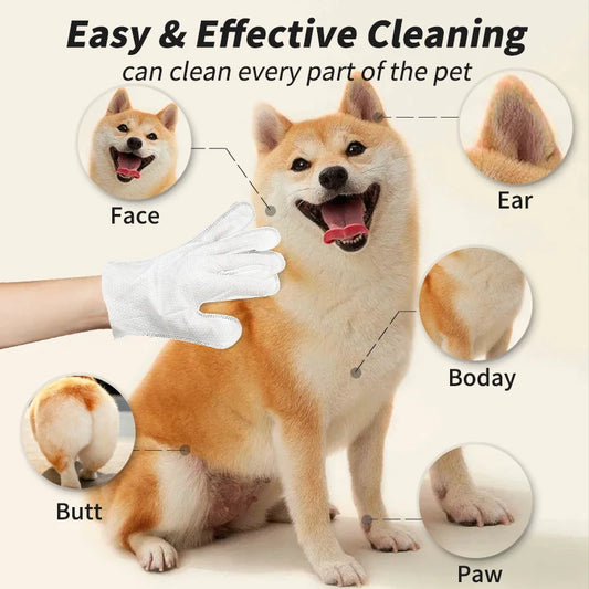 Deodorant Gloves Wipes 6Pcs