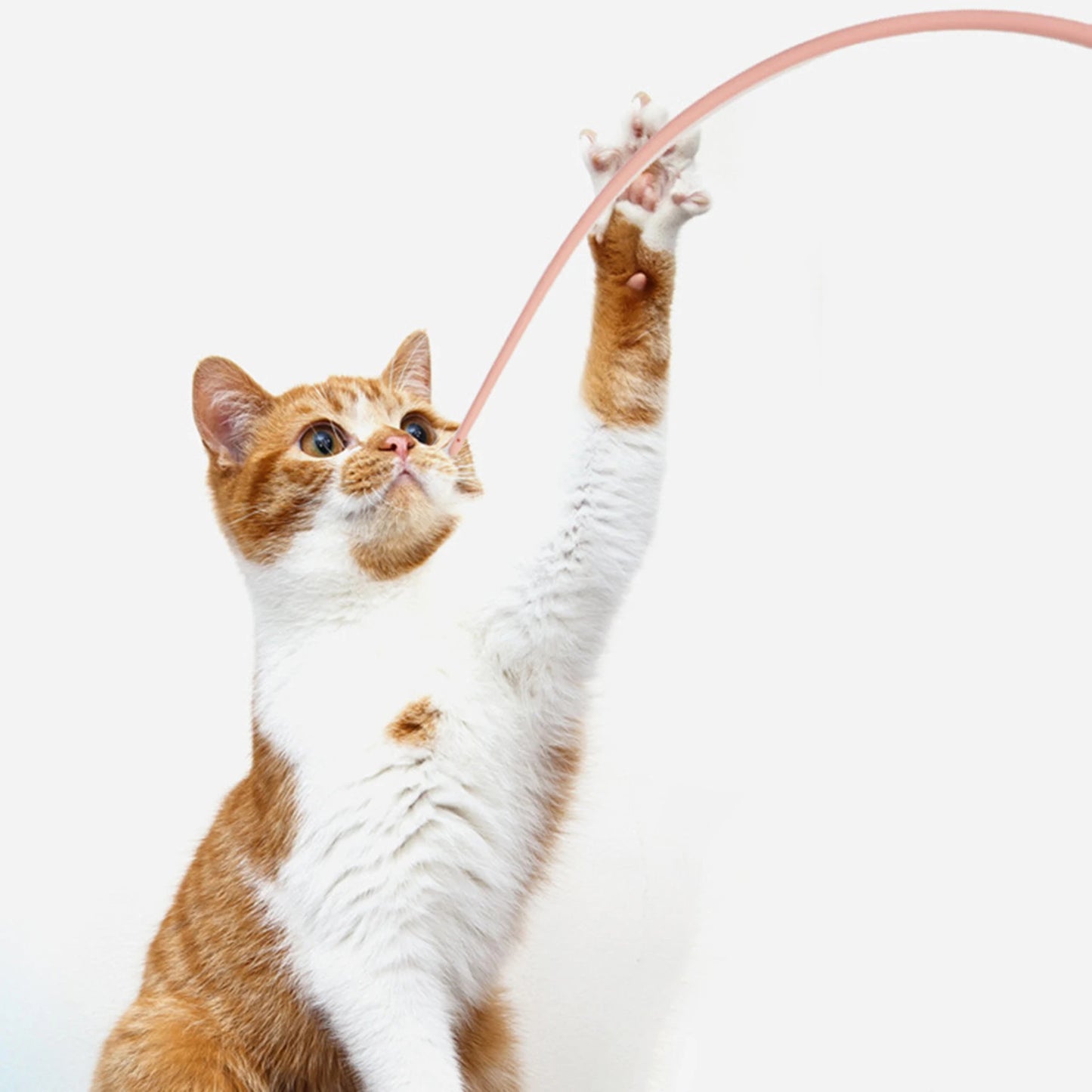 Stick Cat Toy