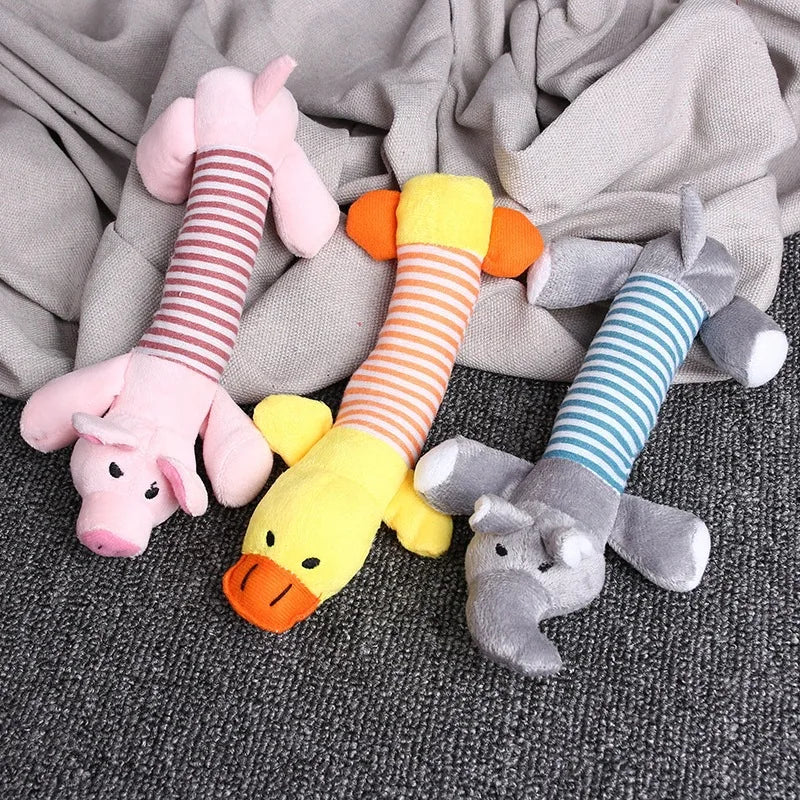 Sound Chew Molar Toy