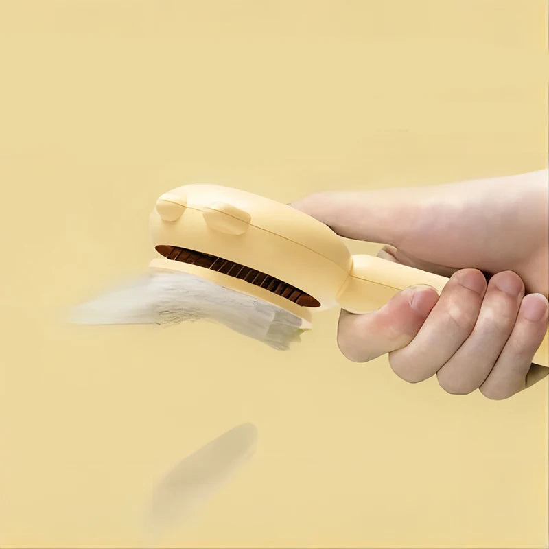 Hair Removal Brush