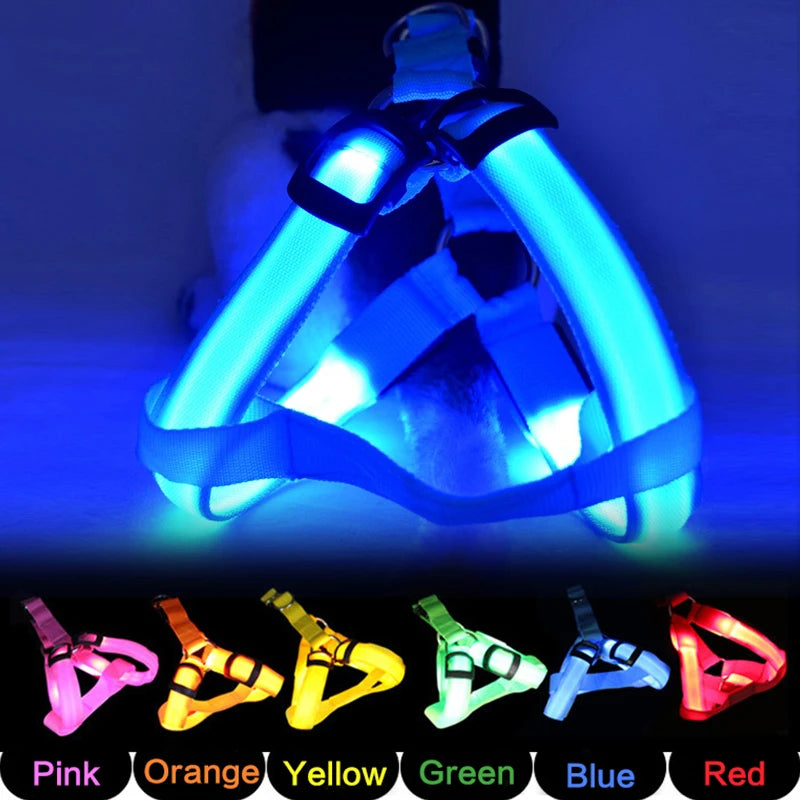 Flashing Light Belt Dog