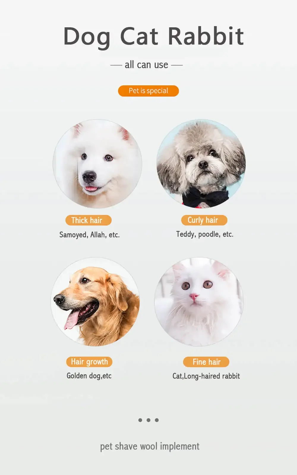Glam Paw Groomer