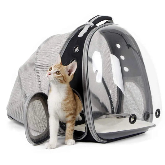 Cat bag Backpack