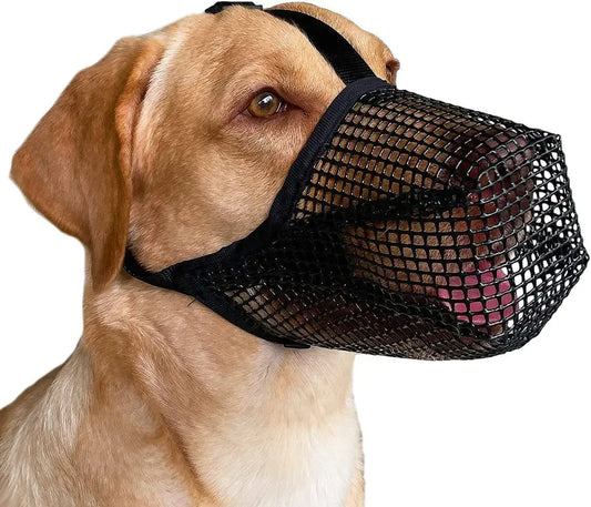 Dog Mouth Cover