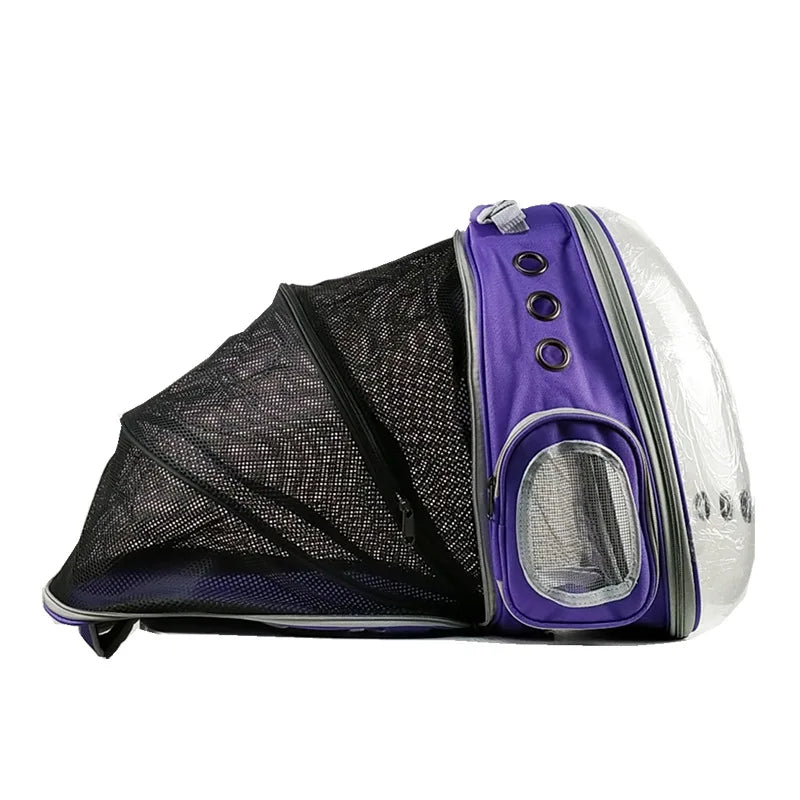 Cat bag Backpack