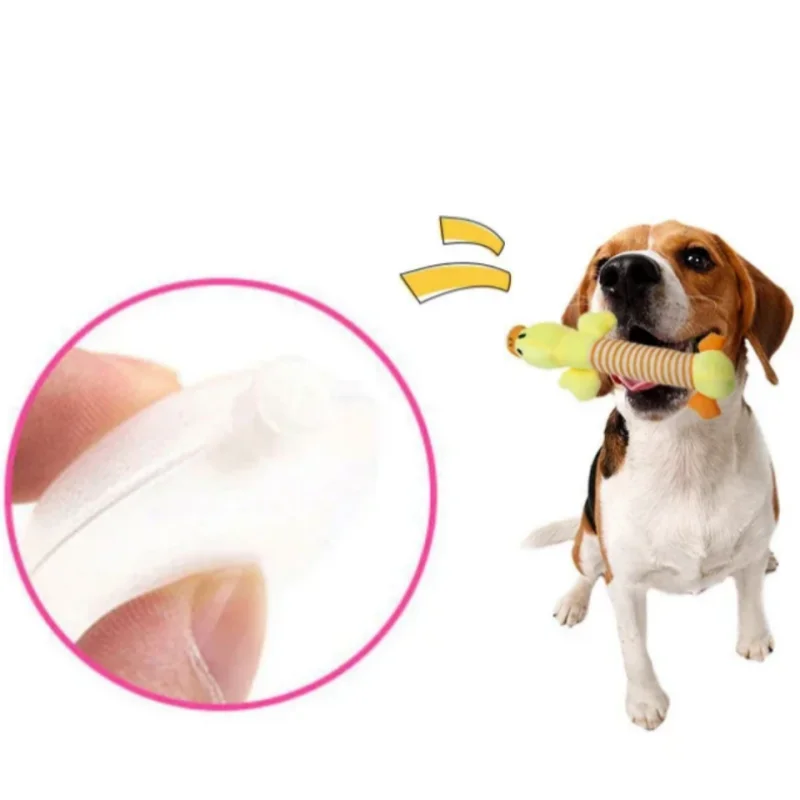 Sound Chew Molar Toy