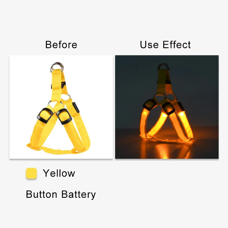 Flashing Light Belt Dog