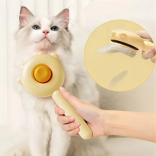 Hair Removal Brush