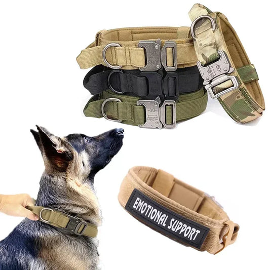 Military Dog Collar