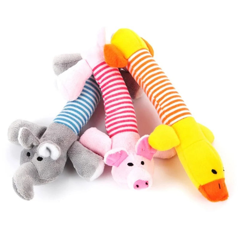 Sound Chew Molar Toy
