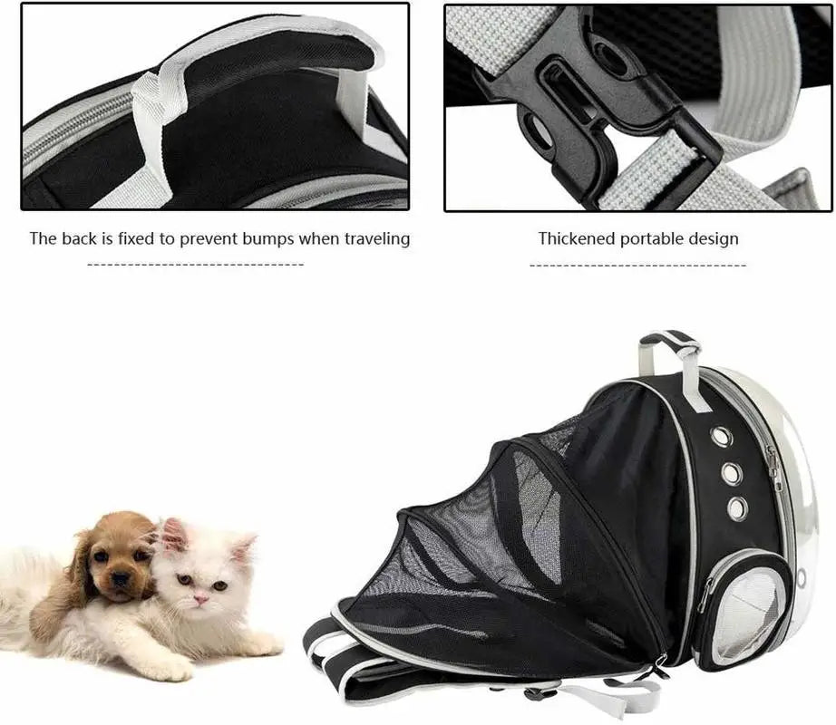Cat bag Backpack
