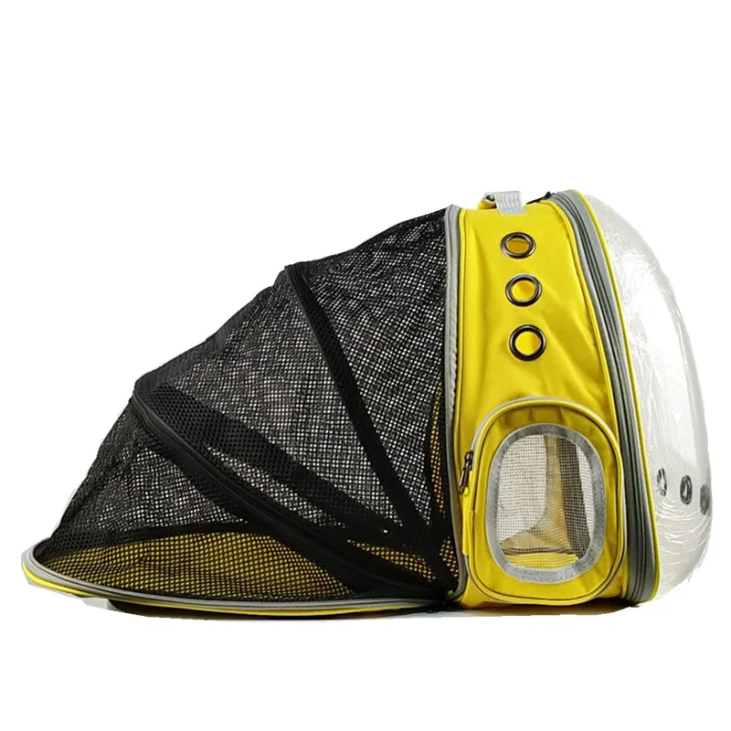 Cat bag Backpack