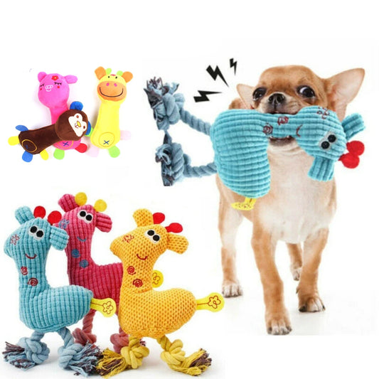 Furry Frenzy