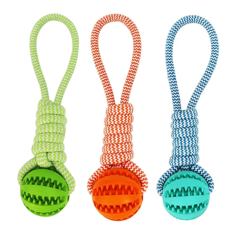Dog Ball Toy