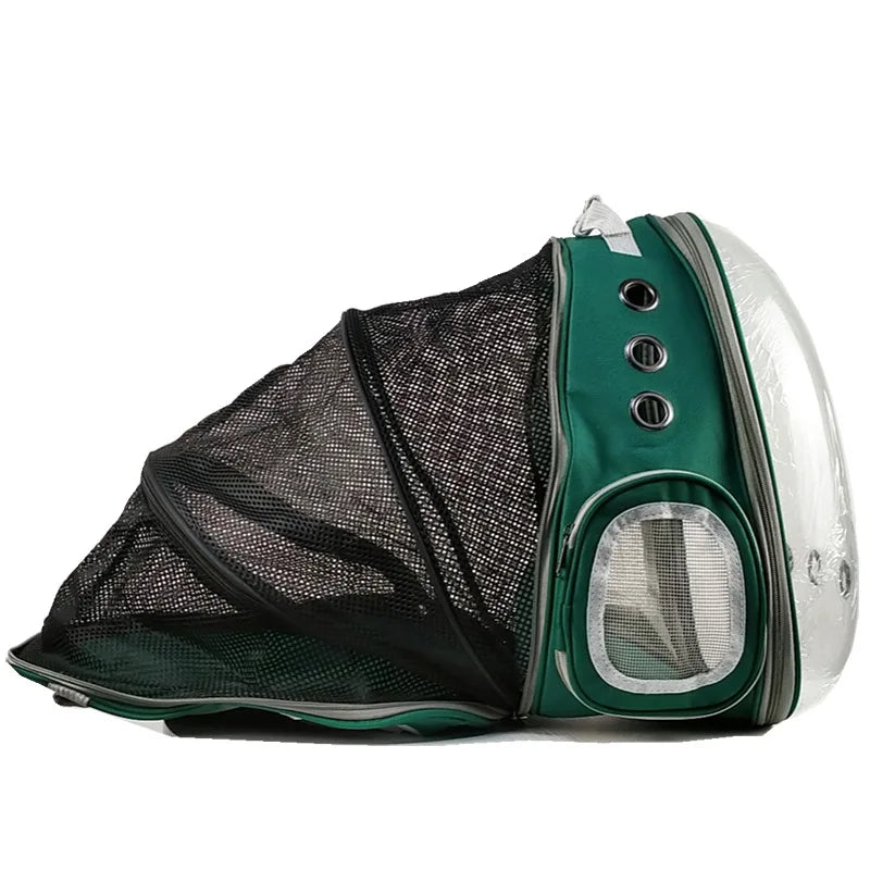 Cat bag Backpack