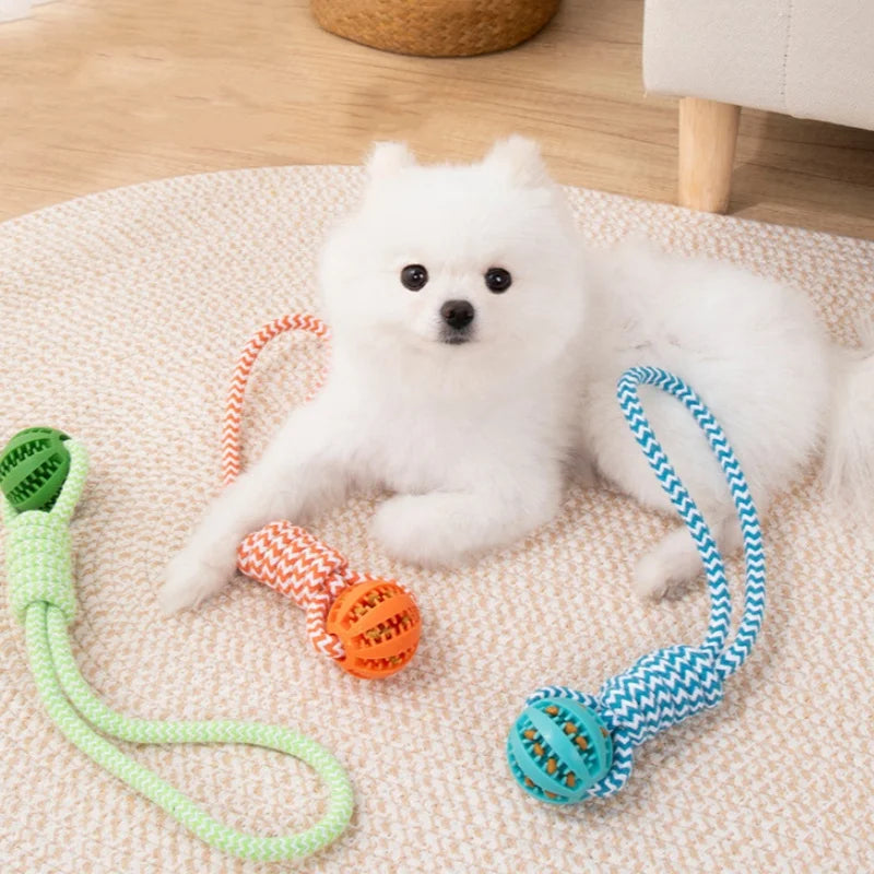 Dog Ball Toy