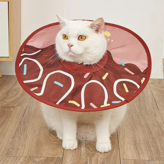 Healing Collar