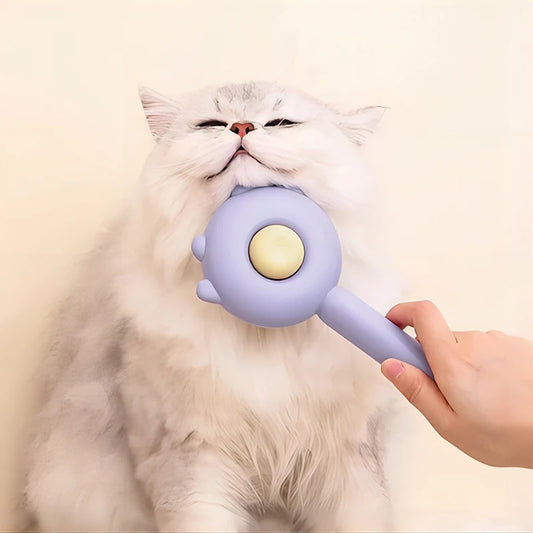 Hair Removal Brush