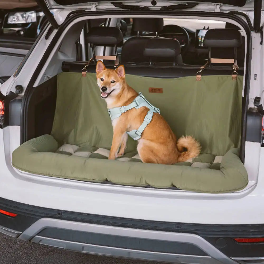 Travel Safety Seat Bed