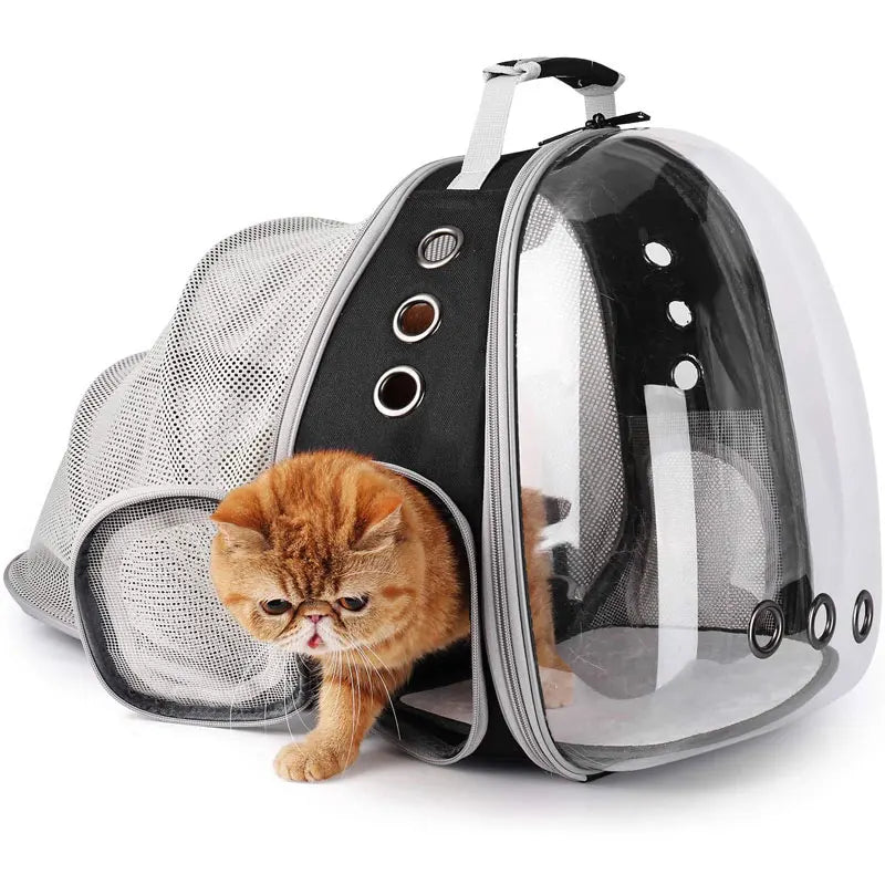 Cat bag Backpack