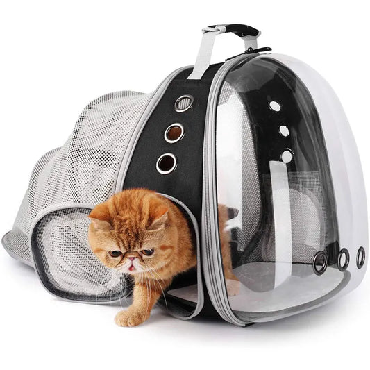 Cat bag Backpack