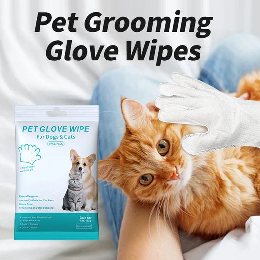Deodorant Gloves Wipes 6Pcs