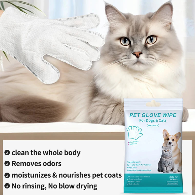 Deodorant Gloves Wipes 6Pcs