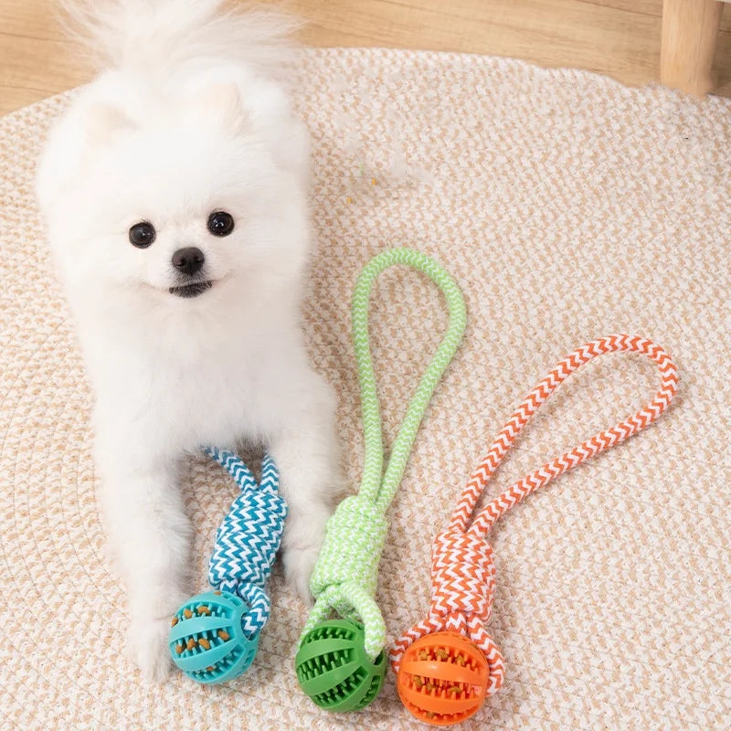 Dog Ball Toy