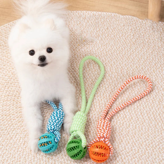 Dog Ball Toy