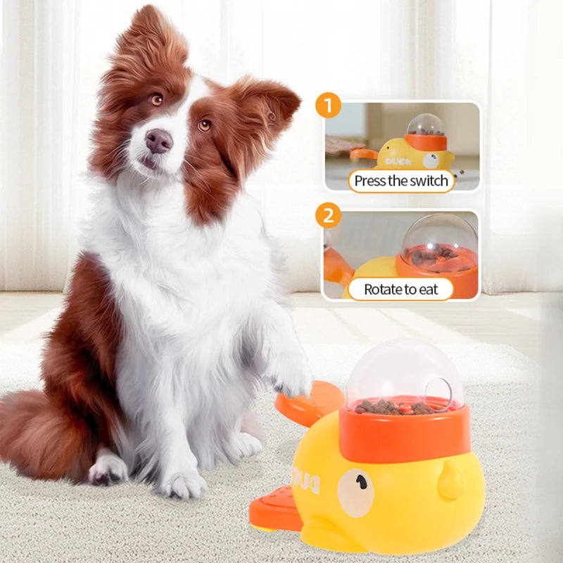 Duck treat feeder