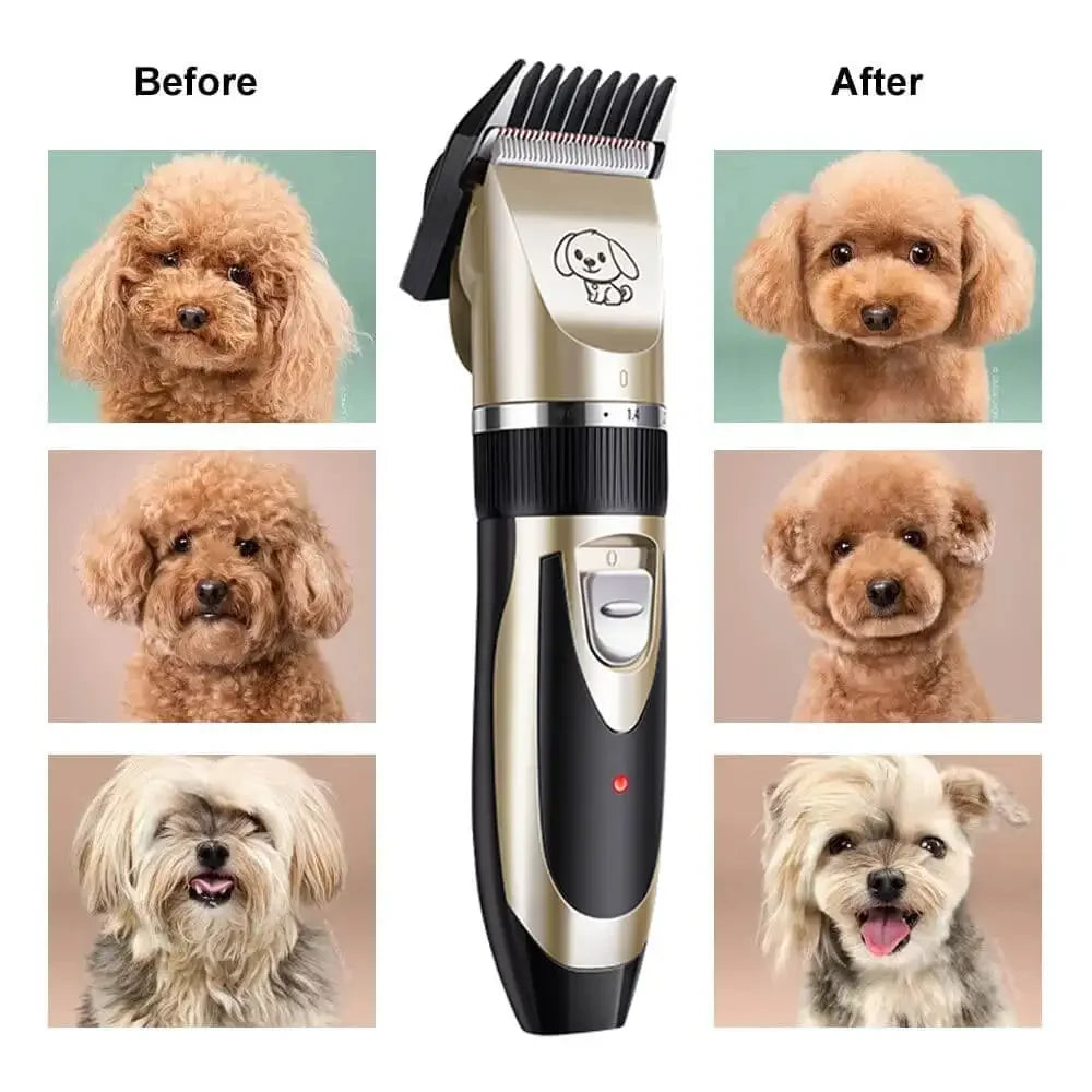 Glam Paw Groomer