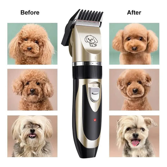 Glam Paw Groomer