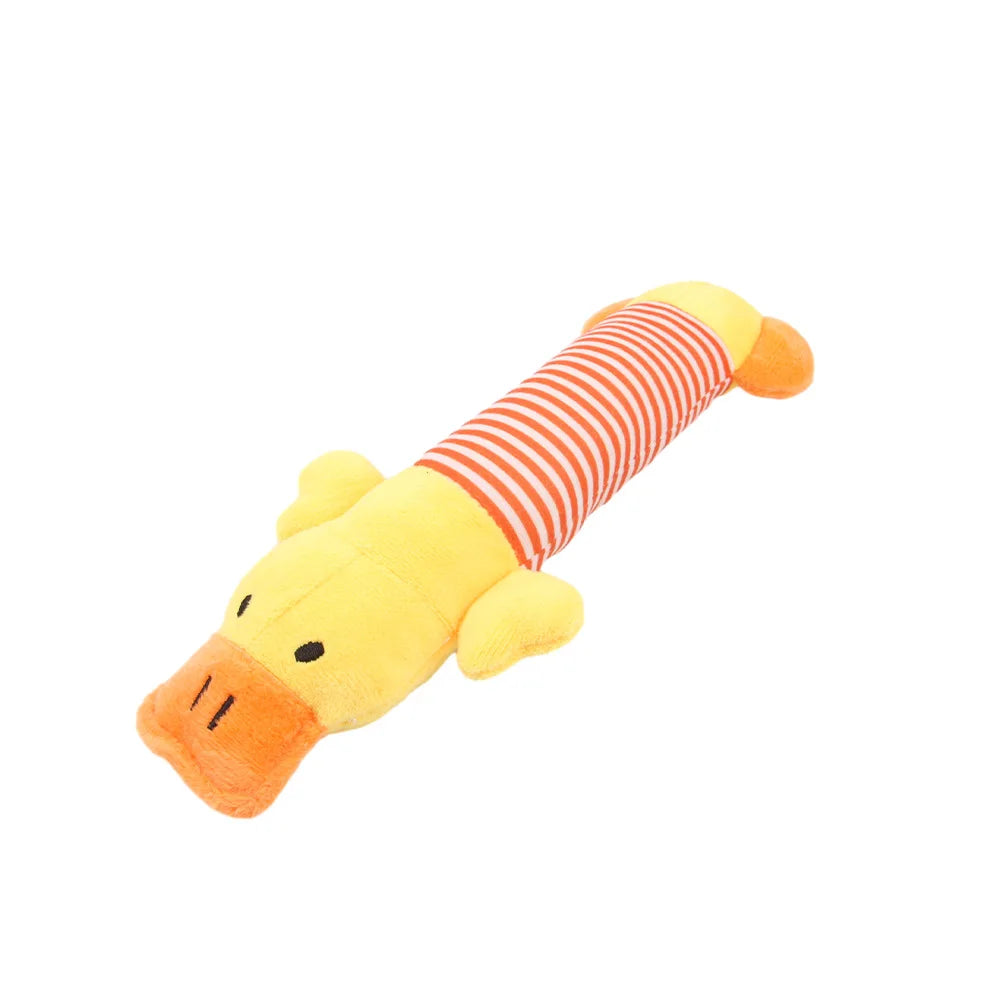 Sound Chew Molar Toy