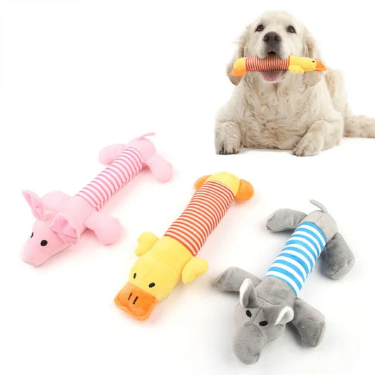 Sound Chew Molar Toy