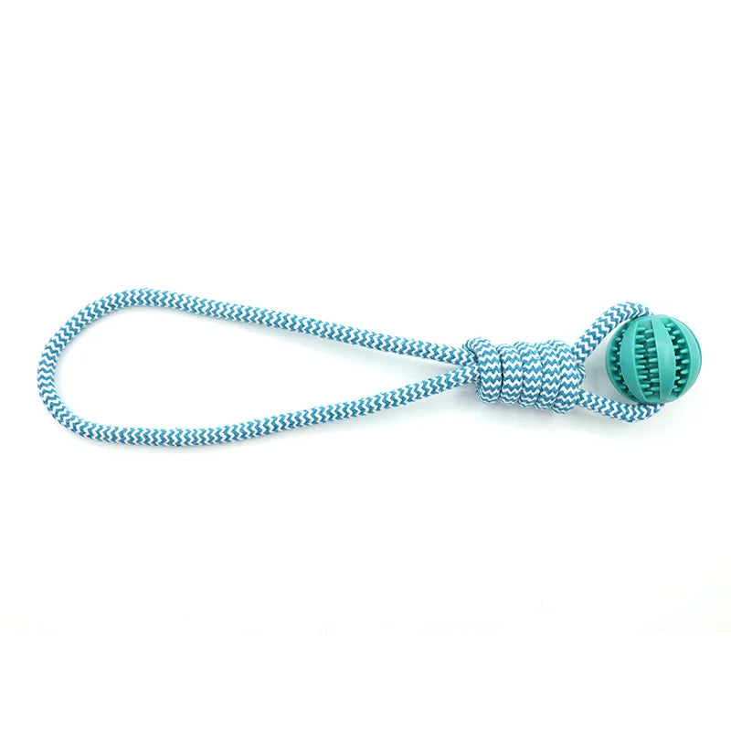 Dog Ball Toy