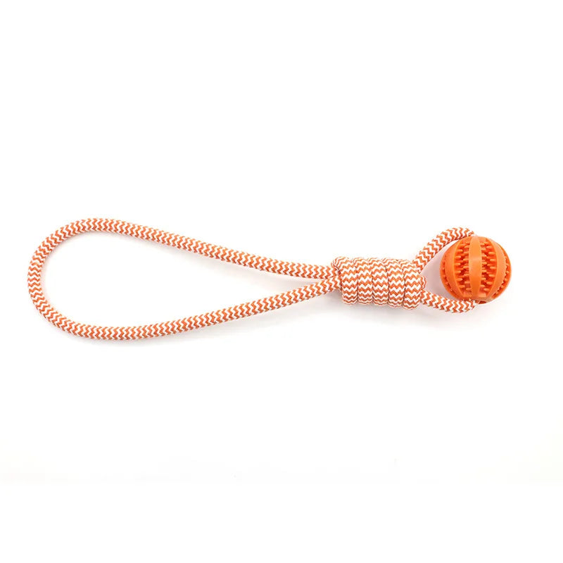 Dog Ball Toy