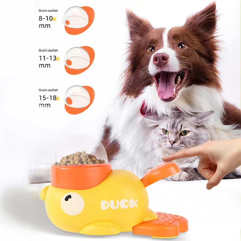 Duck treat feeder