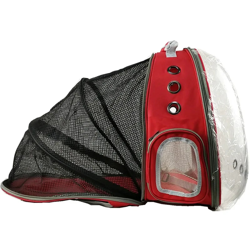 Cat bag Backpack