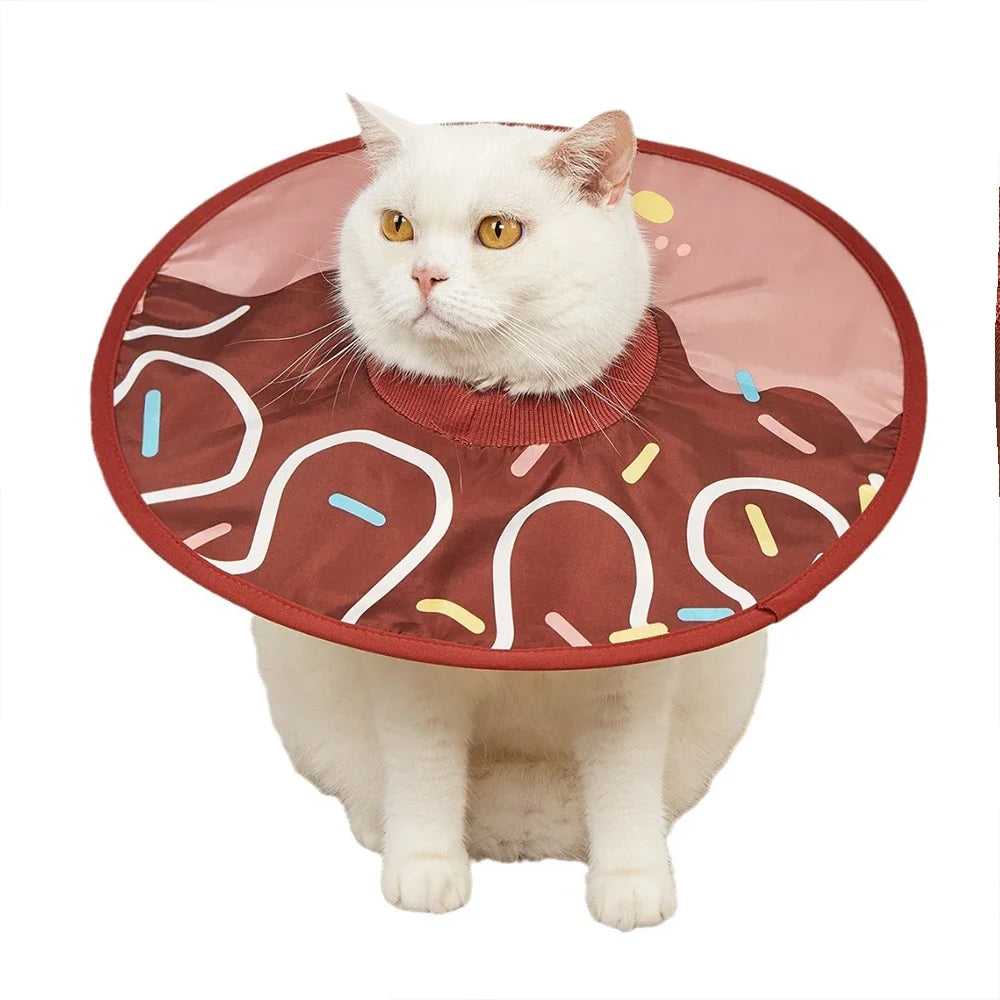 Healing Collar