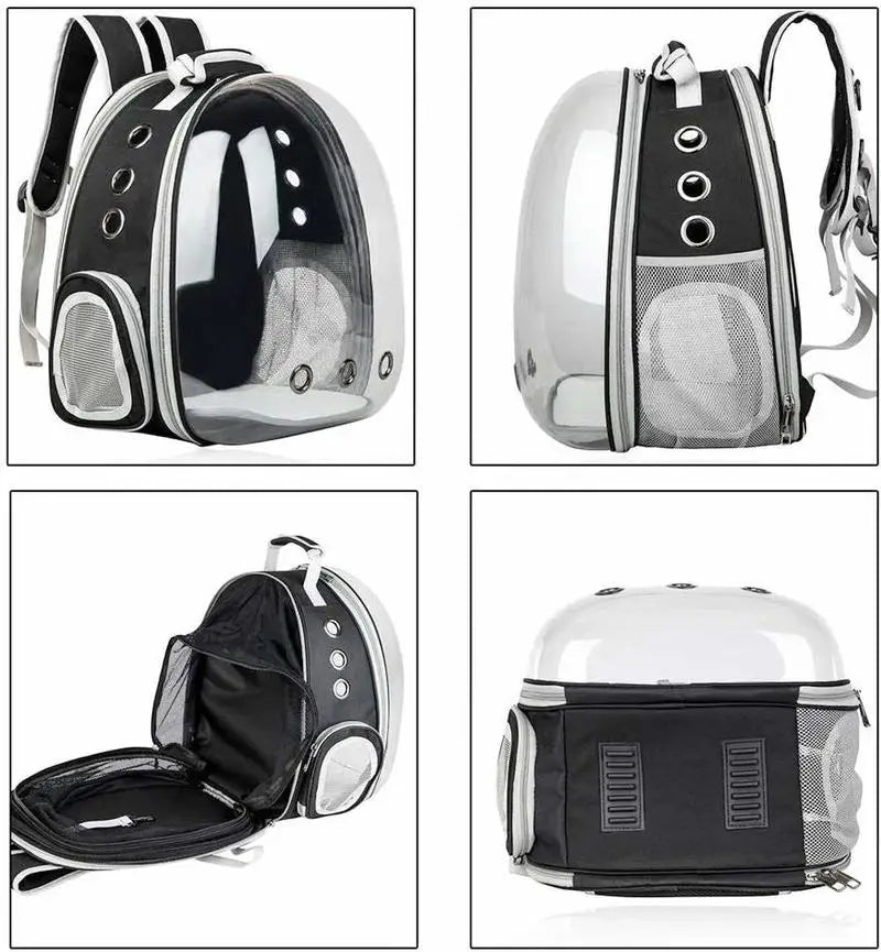 Cat bag Backpack