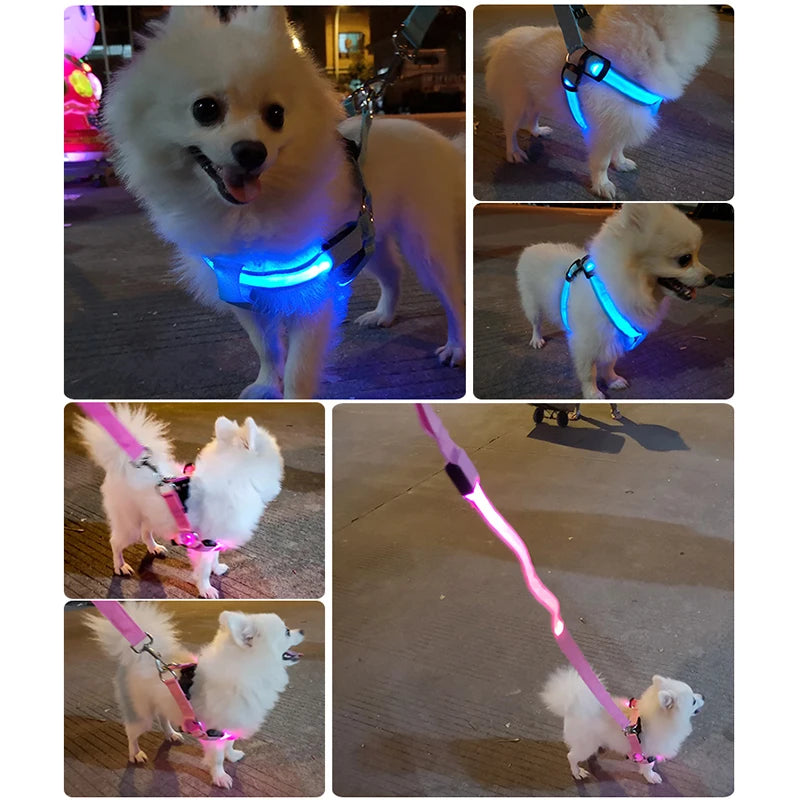Flashing Light Belt Dog
